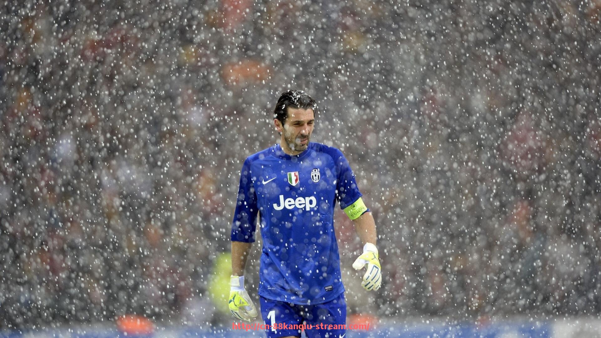 88看球网-世俱杯赛场信息详解：2025年主办城市及场地布置